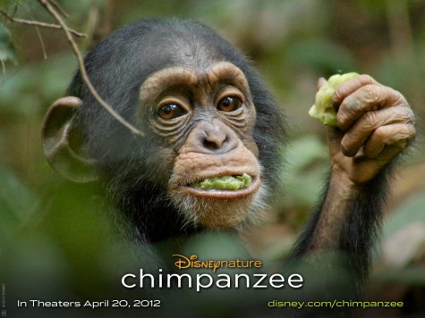 Chimpanzee Disney Movie