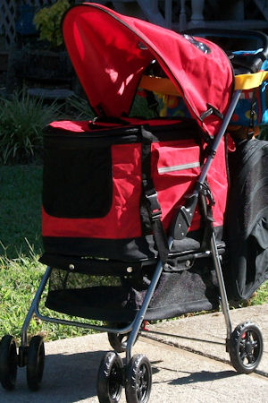 Animal Carriage Stroller
