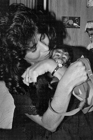capuchin baby 1990