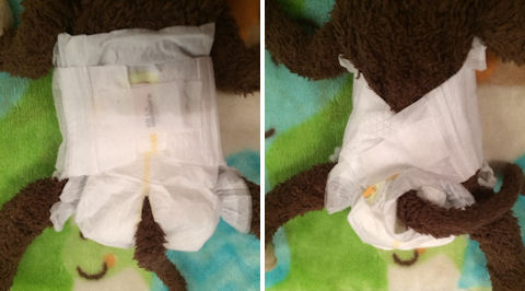 how to diaper a monkey