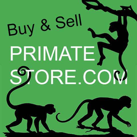 sell at primate store