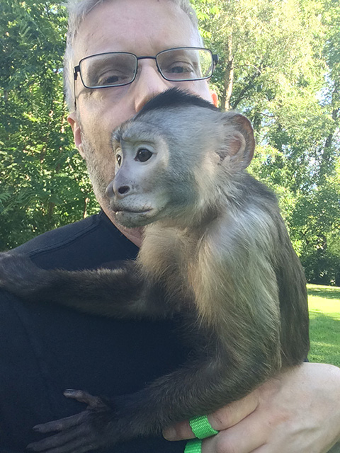 cooper rehome capuchin monkey