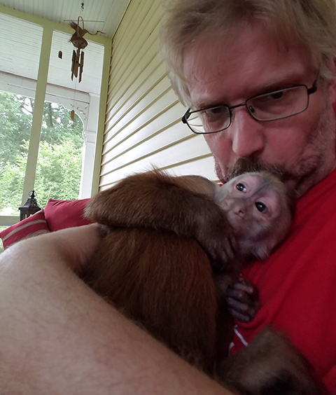dora capuchin cuddle