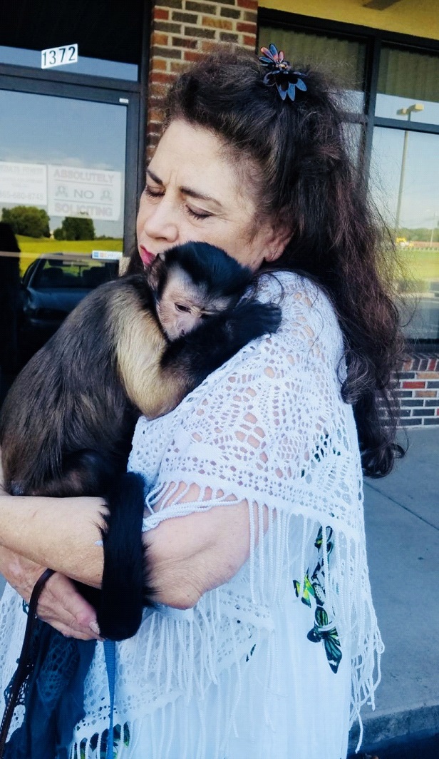 capuchin monkey hug