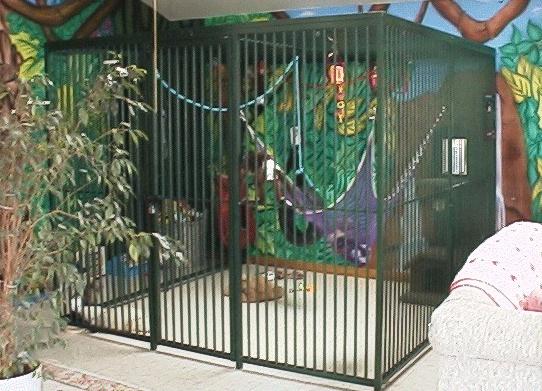 Indoor Primate Cage