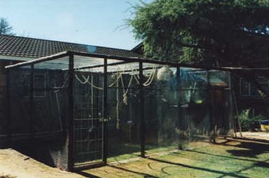 Marmosets and Tamarins Enclosure